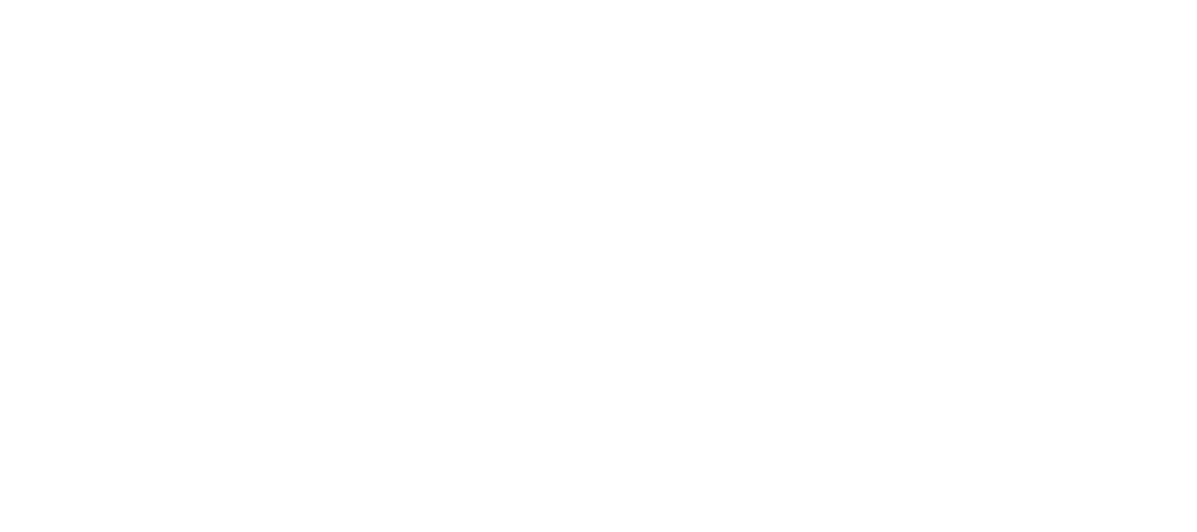 logo dpd white
